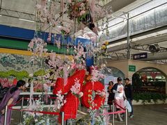 -荷兰花海