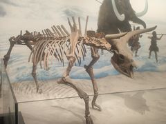 -辽宁古生物博物馆