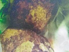 -丰和轩餐厅(西四环南路辅路店)