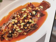 -便宜坊烤鸭店(国瑞城哈德门店)