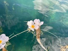 -丽江泸沽湖景区