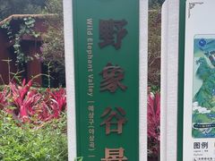 -野象谷景区