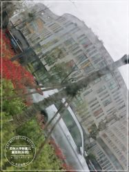 -苏州大学附属儿童医院(园区总院)