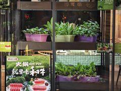 -番食园鲜食火锅(高新店)