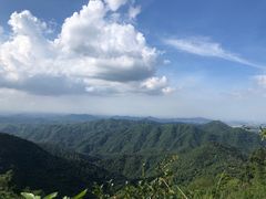 -田心森林公园