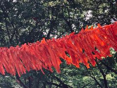 -兰溪地下长河
