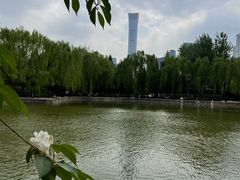 -团结湖公园