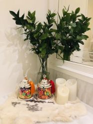 -奥斯芬欧系贵族SPA