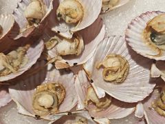 -星伦多自助料理·涮烤一体(嘉兴八佰伴店)