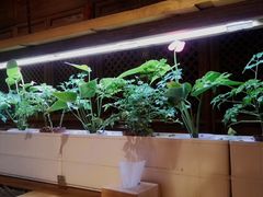 -望京一号·重庆江湖菜(工体店)