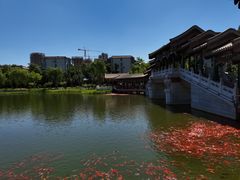 -西海子公园