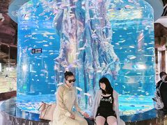 -西双版纳原始森林公园