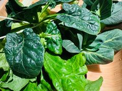 -左庭右院鲜牛肉火锅(桥北印象汇店)