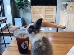 -小意思咖啡店(草桥店)