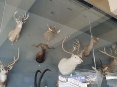 -陕西自然博物馆