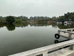 -南沙蒲洲花园