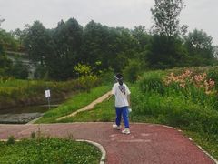 -桤木河湿地公园