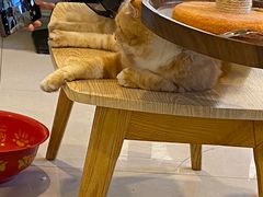 -平行世界·猫咖(首经贸店)