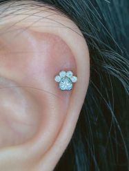 -苏针艺纹身·穿孔饰品