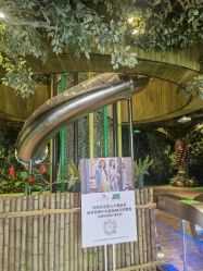 -奇幻丛林(佛罗伦萨小镇店)