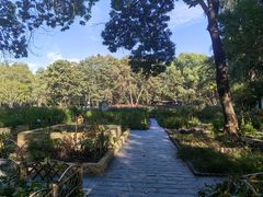 -黑龙江省森林植物园