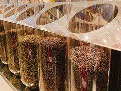 -喜茶(天津乐宾百货店)