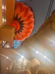 -卡通尼·Safari非洲探索乐园·生日会(金桥国际商业广场店)