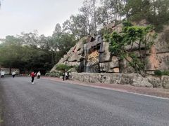 -三水森林公园