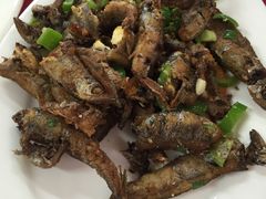 -蛇口康乐快餐鱼仔档(翠苑小区店)