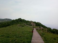 -白草畔自然风景区