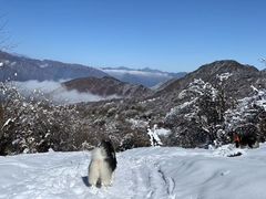 -太子岭滑雪场