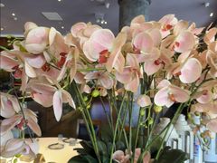 -八府香鸭·啫啫煲(华山路店)