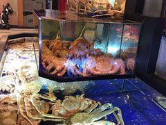 -蟹道乐(道顿堀本店)