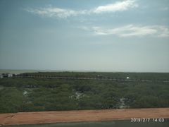 -北海金海湾红树林生态旅游区