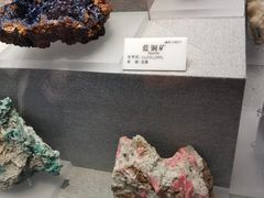 -贵州省地质博物馆