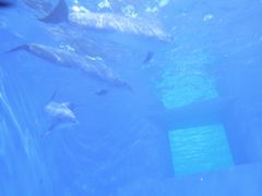 -多彩贵州城极地海洋世界