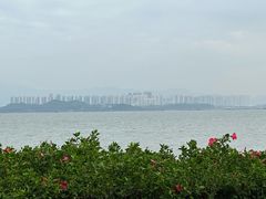 -深圳湾公园(南山区)