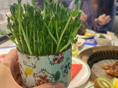 -亚马逊海鲜自助(梅溪湖步步高店)