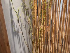 -泰菩提树下·泰式按摩SPA(沙坡尾店)