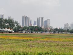 -西海子公园