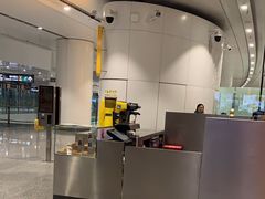 -麦当劳(北京大兴机场二层国内到达(安检外)店)