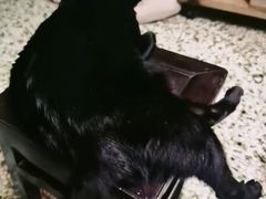 -祥胜美食