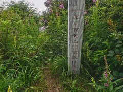 -白草畔自然风景区