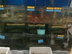 -胖大嫂渔家排档(半边山店)