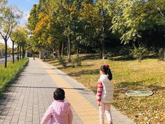 -常青藤国际象棋(新奥店)