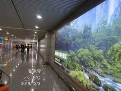 -张家界荷花国际机场