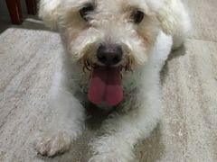 -暖阳宠物医院·犬猫康复中心·骨科