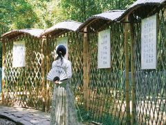 -同里国家湿地公园