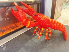 -文叔·湖北名小吃·小龙虾(华强北店)