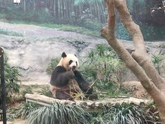 -石排湾郊野公园